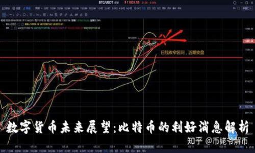 数字货币未来展望：比特币的利好消息解析