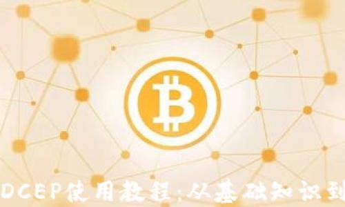 
数字货币DCEP使用教程：从基础知识到实战应用