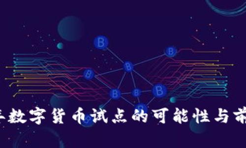 2023年数字货币试点的可能性与前景分析