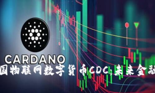 全面解析中国物联网数字货币CDC：未来金融的创新之路