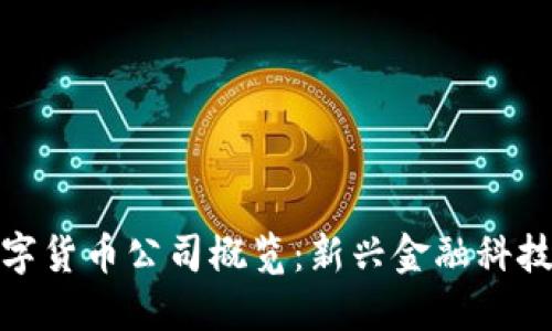 山西数字货币公司概览：新兴金融科技的崛起