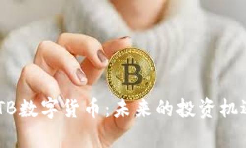 深入了解CATB数字货币：未来的投资机遇与风险分析