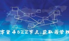 全面解析数字货币BZZ节点