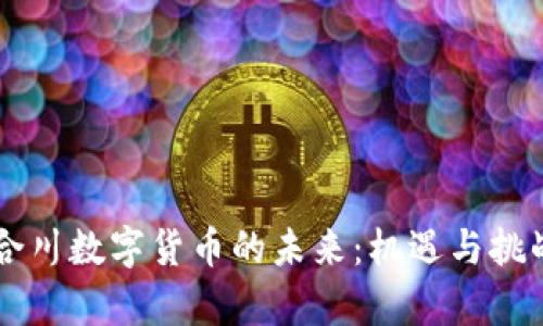 重庆合川数字货币的未来：机遇与挑战分析