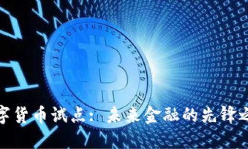 数字货币试点: 未来金融的先锋之路