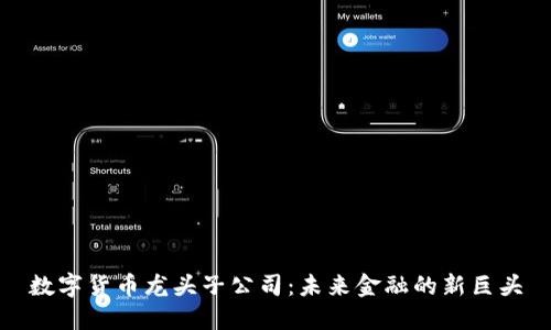 数字货币龙头子公司：未来金融的新巨头