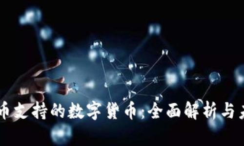 法定货币支持的数字货币：全面解析与未来展望