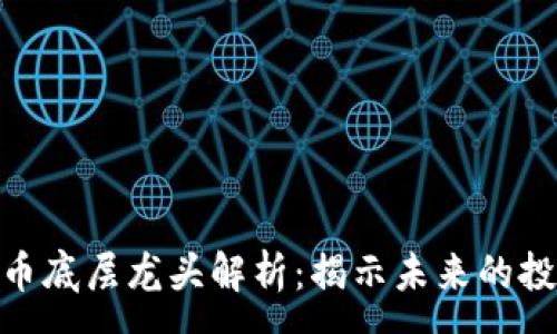 : 
数字货币底层龙头解析：揭示未来的投资机遇