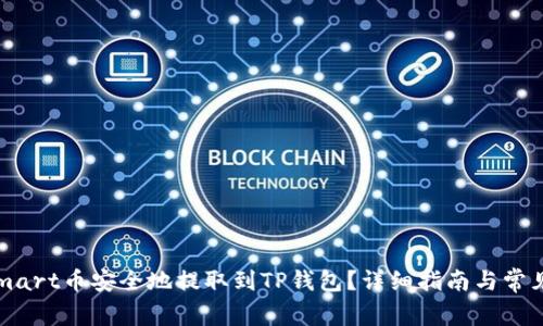  如何将Smart币安全地提取到TP钱包？详细指南与常见问题解答
