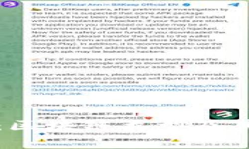 深入解析：区块链类型及其应用领域