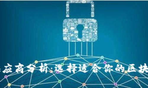 区块链节点供应商分析：选择适合你的区块链服务提供商