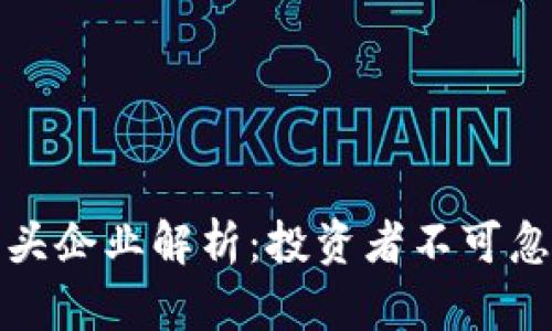 区块链股票龙头企业解析：投资者不可忽视的市场机会