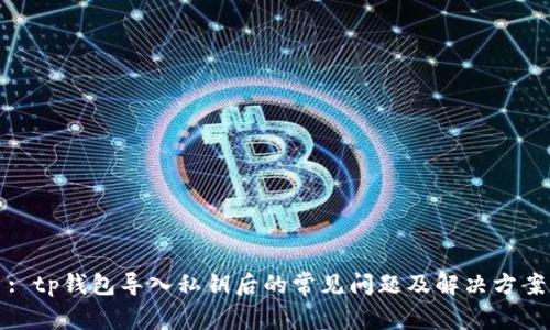 : tp钱包导入私钥后的常见问题及解决方案