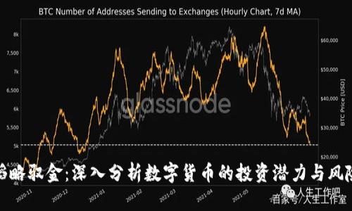 韬略驭金：深入分析数字货币的投资潜力与风险
