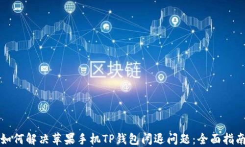 
如何解决苹果手机TP钱包闪退问题：全面指南