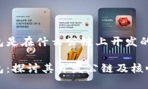 tp钱包是在什么公链上开发的

tp钱包：探讨其开发公链及核心技术