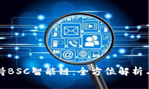 TP如何支持BSC智能链：全方位解析与操作指南